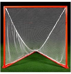 Brine Professional Game Goal