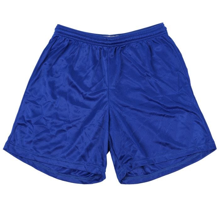 Nylon mesh shorts outlet